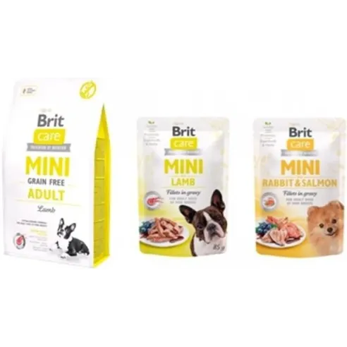 Brit Care Mini GF Adult bárány 2 kg