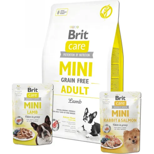 Brit Care Mini GF Adult bárány 2 kg