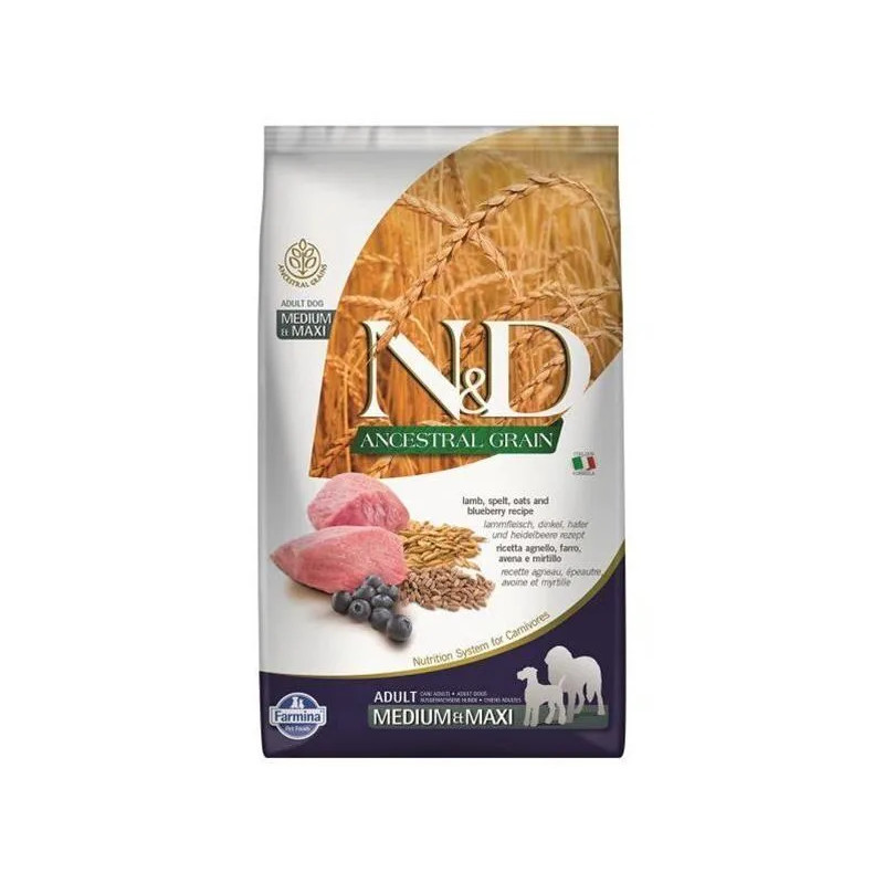 N&D Ancestral Grain Adult Medium & Maxi Lamb & Blueberry 12 kg