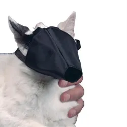 Buster rögzítő szájkosár macskáknak