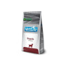 Farmina Vet Life kutya hepatic 2 kg