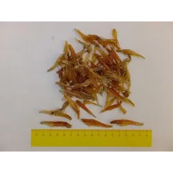 Pamlsok Salač Szárított halacskák 100 g