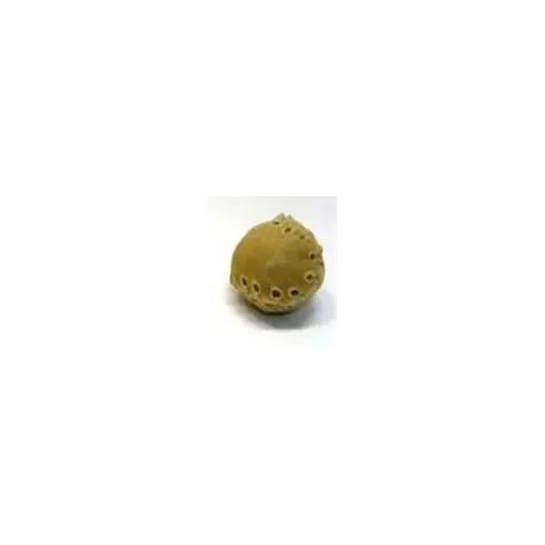 Salač Bőrlabda jutalomfalat 5 cm