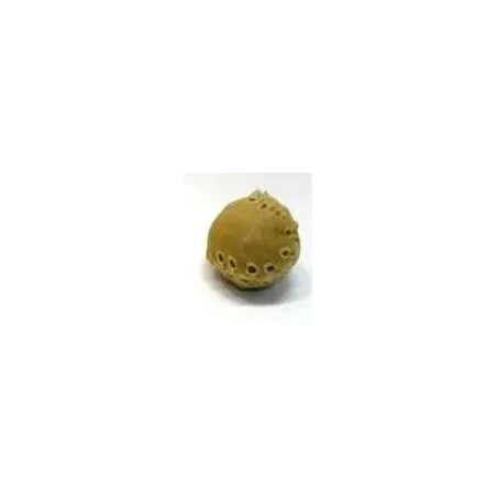 Salač Bőrlabda jutalomfalat 5 cm