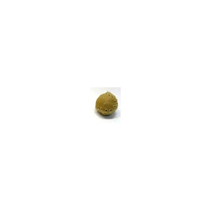 Salač Bőrlabda jutalomfalat 5 cm