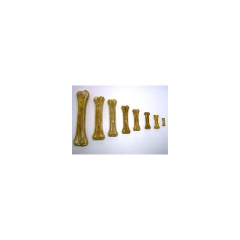 Salač Természetes Csont 21-22 cm
