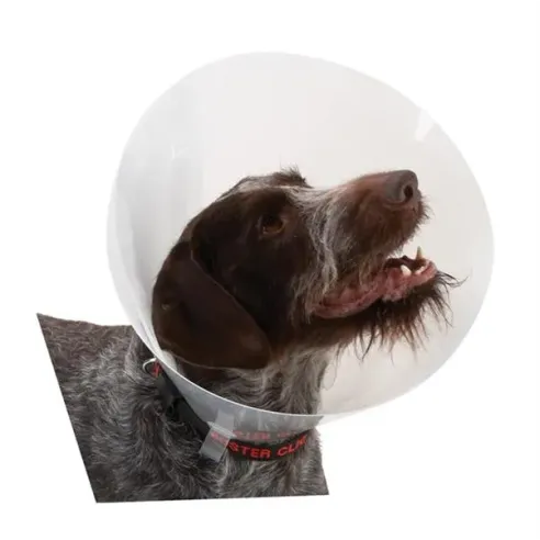 BUSTER átlátszó gallér 15 cm, 10 db