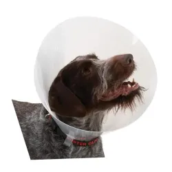 BUSTER átlátszó gallér 20 cm, 10 db