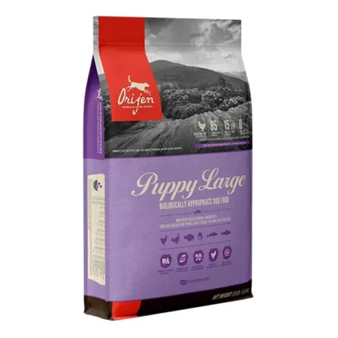 ORIJEN Dog Puppy Large Dry 6 kg