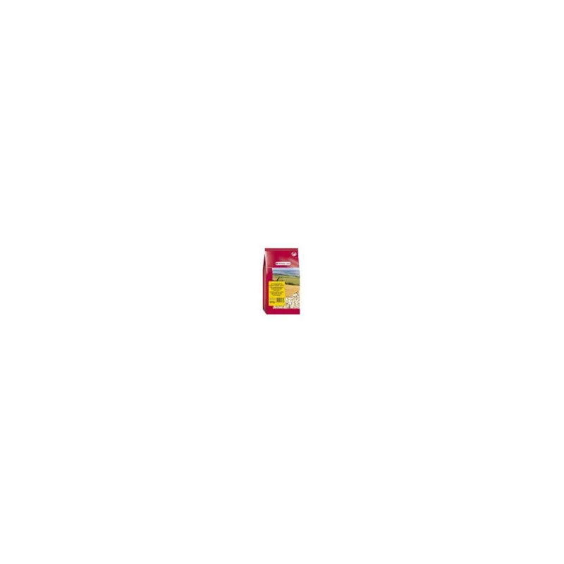 VL Napraforgómag fehér, egyiptomi 600 g