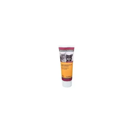 ReConvales Pappelpaste 75 g