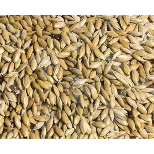 VL Holuby Csillagpázsit mag 25 kg