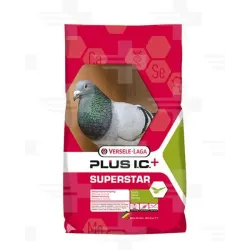 VL Holuby Superstar Plus I.C.+ özvegyeknek 20 kg