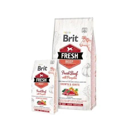 BRIT Fresh Puppy Large hovädzie s tekvicou 12 kg