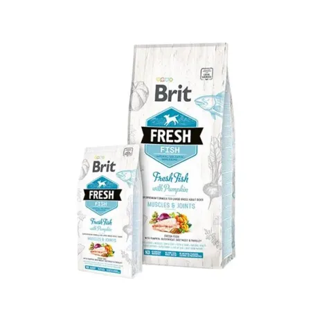 BRIT Fresh Adult Large ryba s tekvicou 12 kg