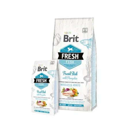 BRIT Fresh Adult Large ryba s tekvicou 2,5 kg