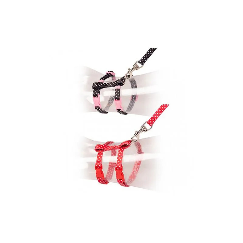 DUVO+ pöttyös KITTEN nylon hám fekete/piros 15-25cm/8mm-125cm