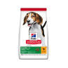 HILLS SP Ca Puppy Medium Chicken 14 kg