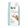 Brit Veterinary Diets GF kutya Struvite 12 kg