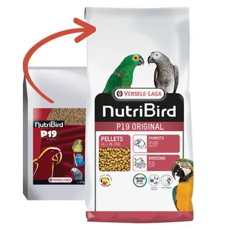 VL NutriBird P19 Original - extrudált eledel tenyésztéshez, pihéresedéshez és nagy papagájok fokozott igényeihez hazai gyümölcsö