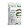 Alleva HOLISTIC kutya felnőtt közepes csirke & kacsa 2 kg
