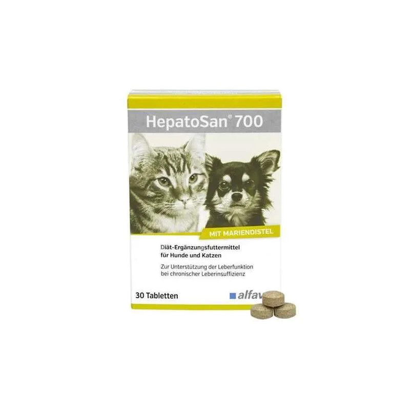 HepatoSan 700 mg 21 g (30 db)