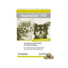 HepatoSan 700 mg 21 g (30 db)