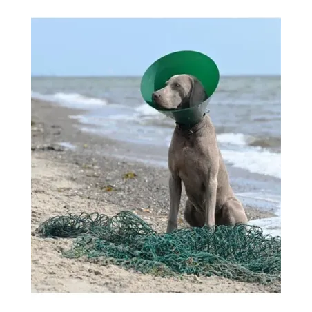 BUSTER Green Ocean védőgallér 25 cm 5 db