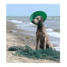 BUSTER Green Ocean védőgallér 25 cm 5 db