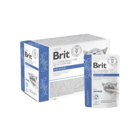 Brit VD Gluten & Grain-Free Macska Alutasak Filék Szószban Recovery 12 x 85 g