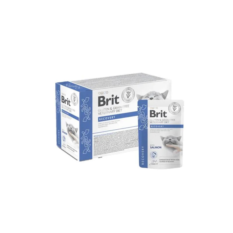Brit VD Gluten & Grain-Free Macska Alutasak Filék Szószban Recovery 12 x 85 g