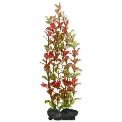 Dekoráció Tetra Növény Red Ludwigia L 30cm