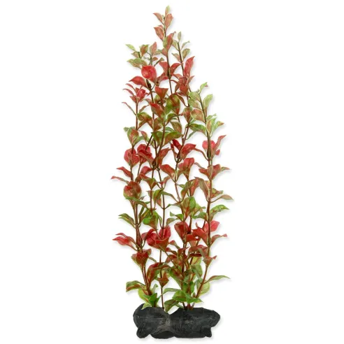Dekoráció Tetra Növény Red Ludwigia L 30cm