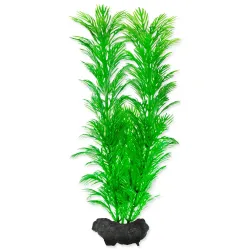 Dekoráció Tetra Növény Green Cabomba M 23cm