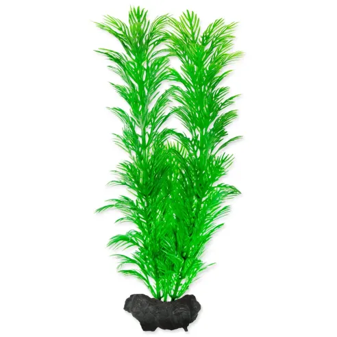 Dekoráció Tetra Növény Green Cabomba M 23cm