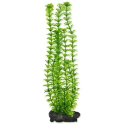 Dekoráció Tetra Növény Ambulia L 30cm