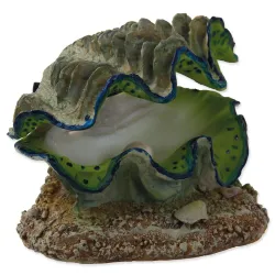 Aqua Excellent Légbuborékos Kagyló Dekoráció 12x10x5,5cm