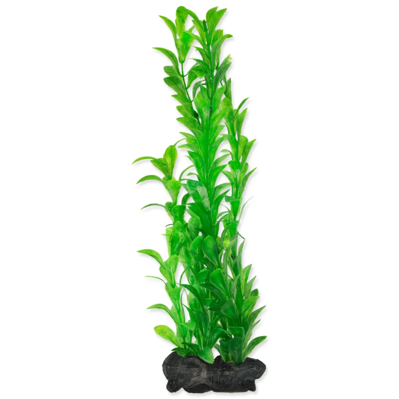 Dekoráció Tetra Növény Hygrophila L 30cm