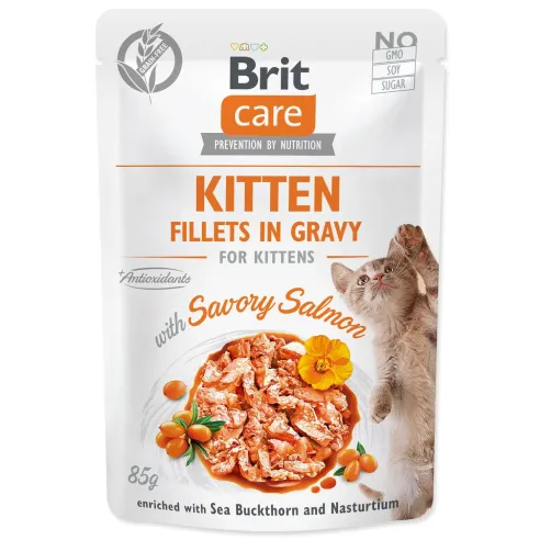 Brit Care Cat Kitten tasak lazac, filék szószban 85g