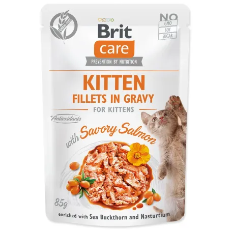 Brit Care Cat Kitten tasak lazac, filék szószban 85g
