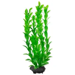 Dekoráció Tetra Növény Hygrophila M 23cm