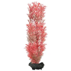 Dekoráció Tetra Növény Foxtail Red M 23cm