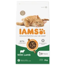 IAMS Cat Adult Lamb 2kg macskaeledel