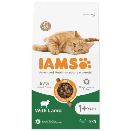 IAMS Cat Adult Lamb 2kg macskaeledel