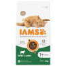 IAMS Cat Adult Lamb 2kg macskaeledel