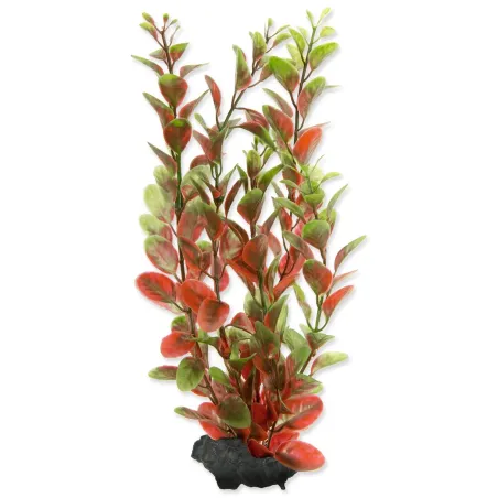 Dekorácia Tetra Rastlina Red Ludwigia M 23cm