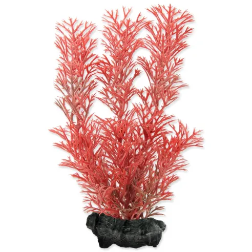 Dekorácia Tetra Rastlina Foxtail Red S 15cm