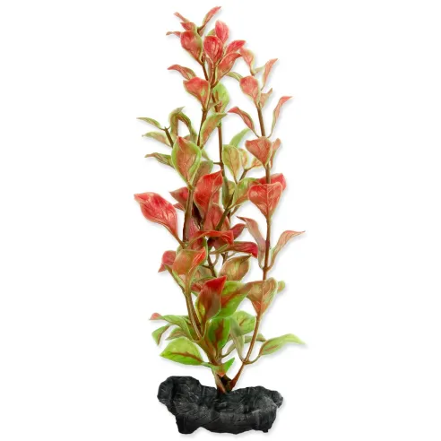 Dekoráció Tetra Növény Red Ludwigia S 15cm