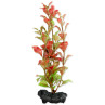 Dekoráció Tetra Növény Red Ludwigia S 15cm
