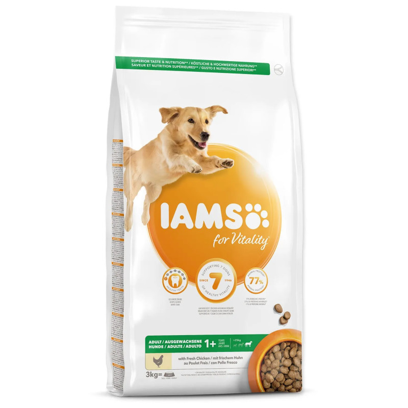 IAMS Dog Adult Large Chicken 3kg kutyatáp